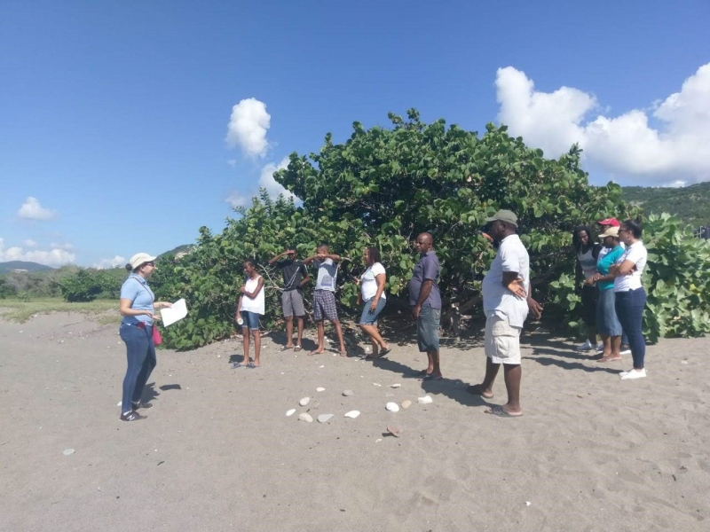 Wickie Wackie on the reef